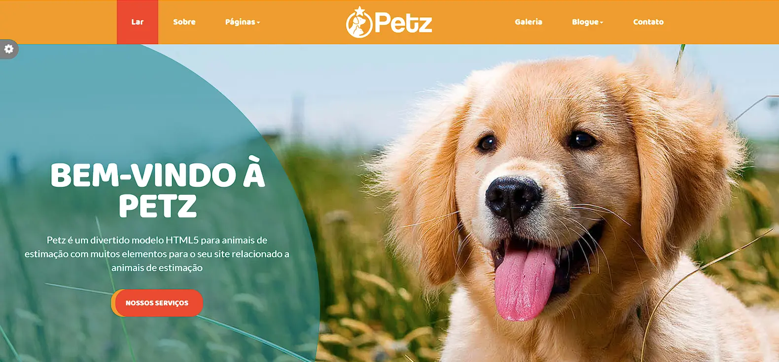 Descrição breve do Projeto